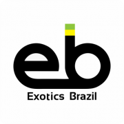 (c) Exoticsbrazil.com.br